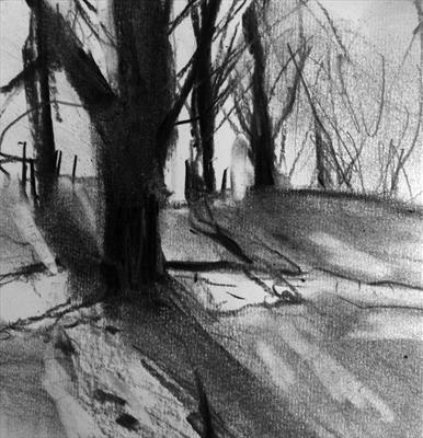 Trees with Shadows, Richmond Park